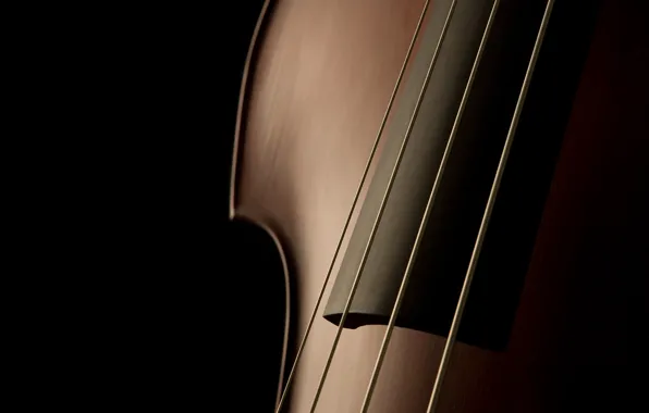 Music, shadow, strings, tool