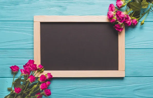 Background, Buds, Pink, Roses, Board