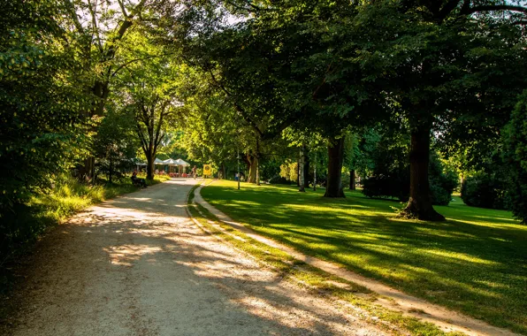 Picture greens, grass, the sun, trees, Park, Switzerland, track, the bushes
