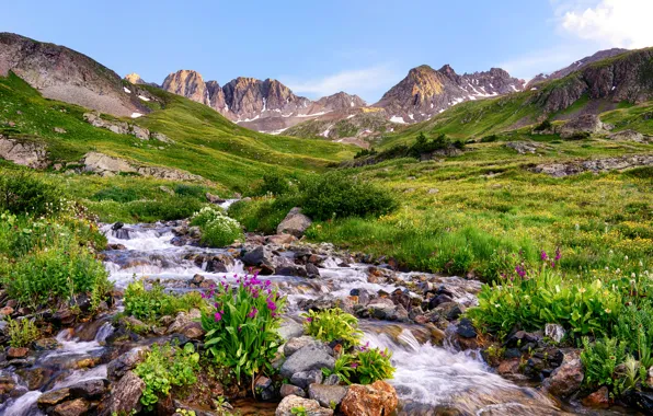 Grass, flowers, mountains, stream, stones, valley, USA, Colorado