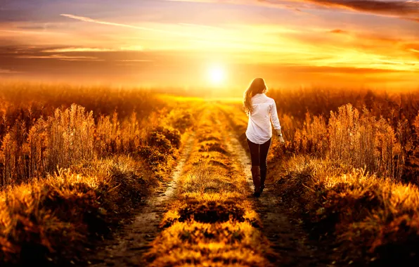 Field, girl, the way, Alessandro Di Cicco, Way to heaven