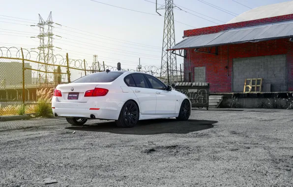 Picture BMW, 535i, rearside, F10. white, XO Wheels