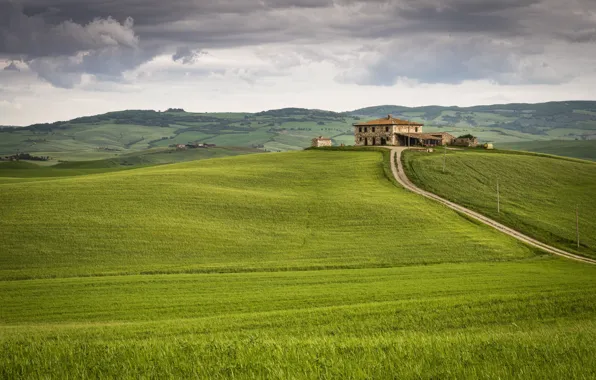 Road, greens, field, the sky, grass, clouds, house, hills