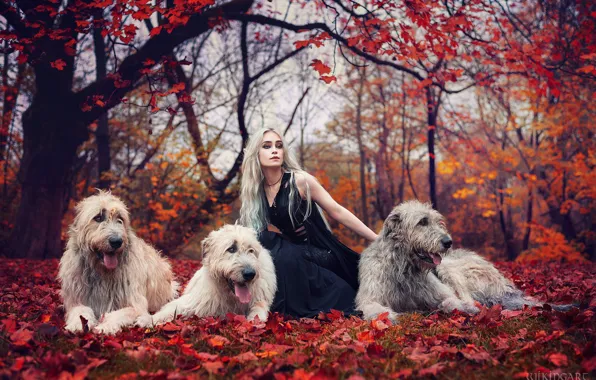 Forest, dogs, girl, nature, pose, style, makeup, costume