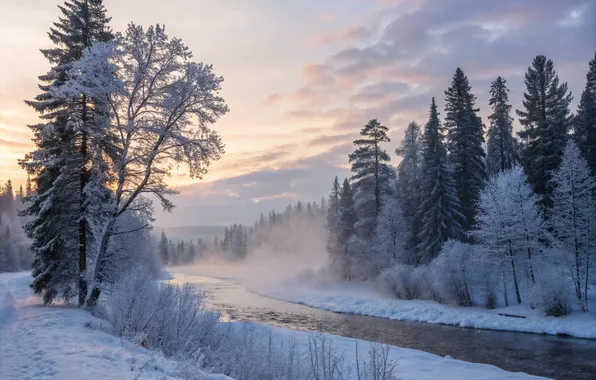 Winter, frost, the sky, clouds, snow, trees, branches, nature