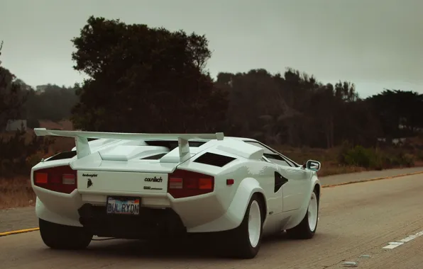 White, supercar, white, supercar, Voitur, Countach, Lamborghini, Countach