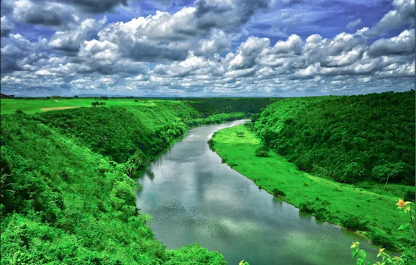 River, Forest, Channel, Floodplain