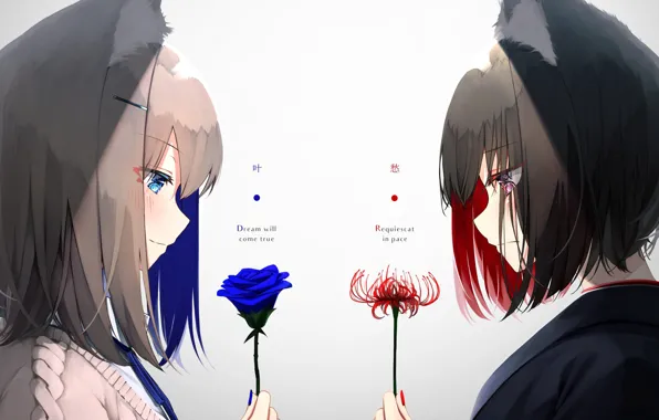 Flowers, girls, Lily, face-to-face