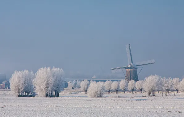 Picture winter, frost, snow, Netherlands, windmill
