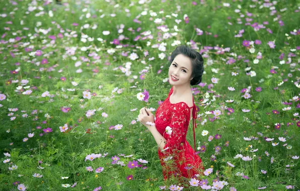 Picture field, summer, girl