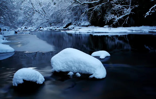 Picture winter, snow, nature, river