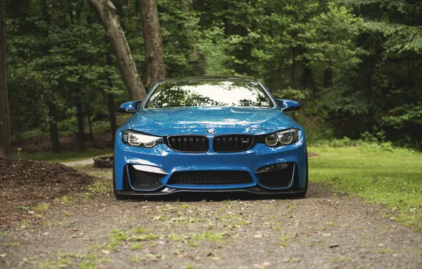 Picture BMW, Blue, Forest, F83