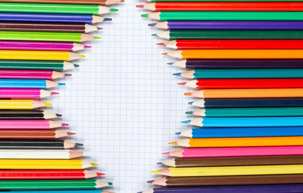 Background, pencils, notebook, colorful, cells