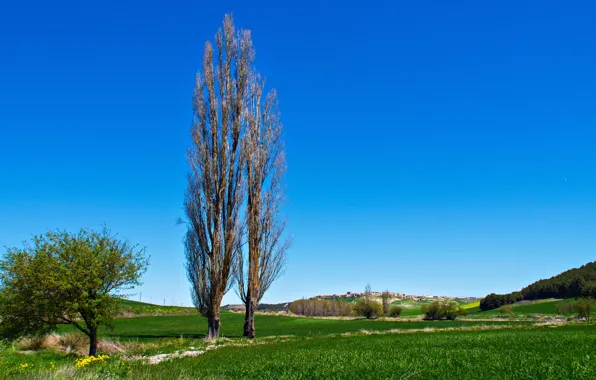 Grass, trees, hills, Spain, Valladolid
