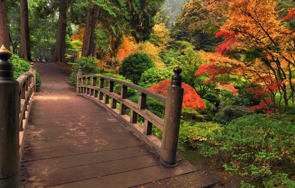 Picture autumn, leaves, trees, flowers, bridge, nature, Park, colors