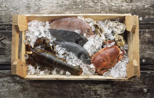 Crab, ice, Omar, box, mussels