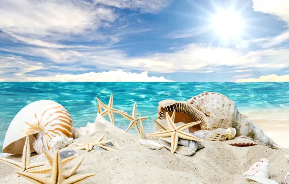 Picture sand, sea, beach, the sun, stars, shell, summer, sunshine