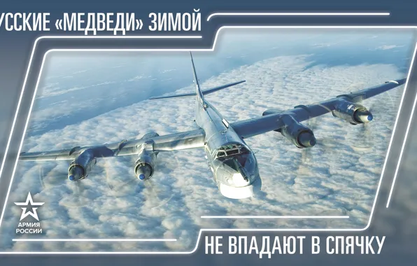 Picture The plane, Flight, Russia, The Russian Army, Army 2019, Russian bears do not hibernate in …