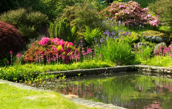 Greens, flowers, pond, garden, UK, colorful, the bushes, Mount Pleasant gardens