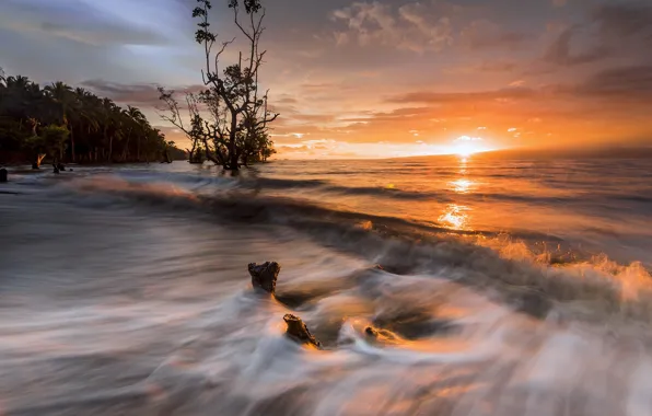 Picture sunset, nature, shore