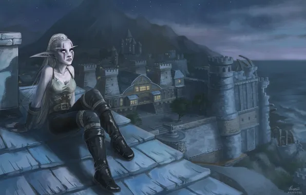 Picture roof, girl, night, the city, art, World of Warcraft, elf, Angevere