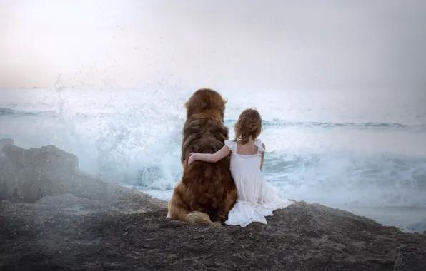 Picture sea, dog, girl