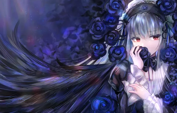 Girl, roses, Rozen maiden