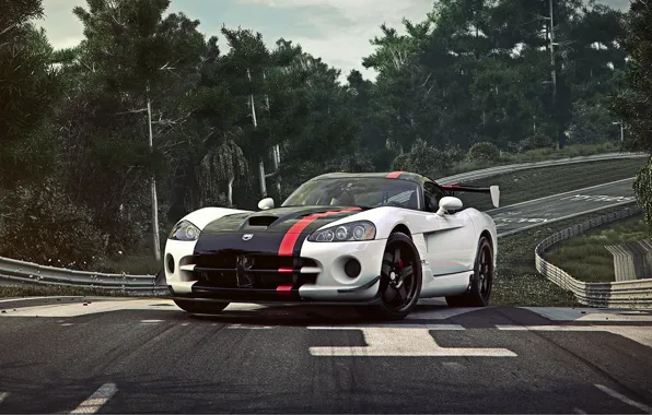 Picture Dodge, Car, Viper, Sport, ACR, Track, Nurburgring