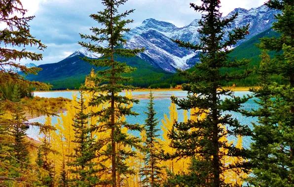 Autumn, trees, mountains, lake, Albert, Canada at