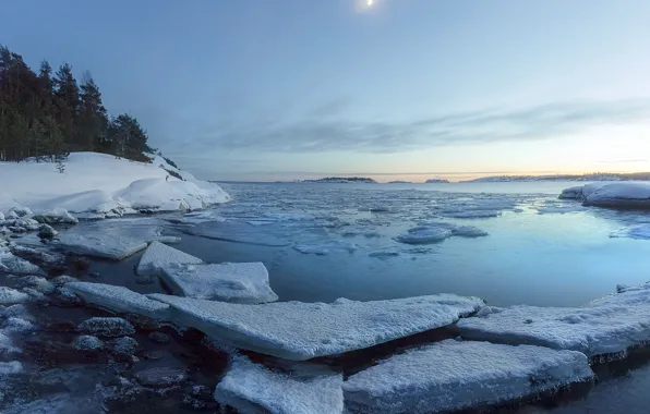 Water, snow, trees, Nature, ice, Lake Ladoga, Karelia