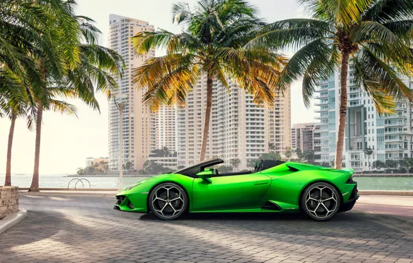 Machine, palm trees, building, Lamborghini, sports car, Spyder, Evo, Huracan