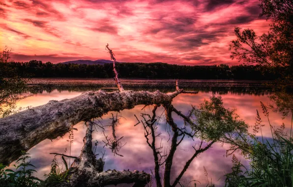 The sky, clouds, trees, sunset, mountains, lake