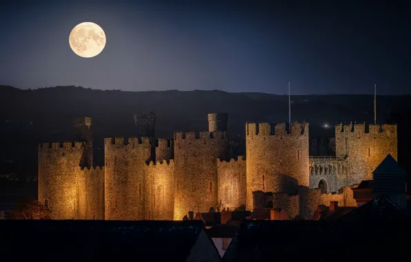 Picture night, castle, the moon