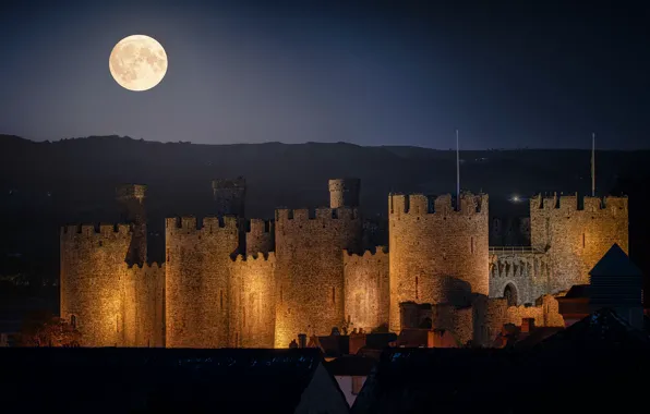 Night, castle, the moon