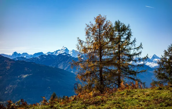 Autumn, trees, mountains, Austria