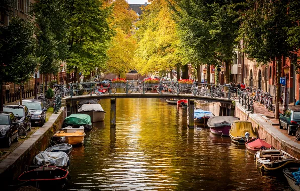 Autumn, water, trees, machine, bridge, the city, river, street