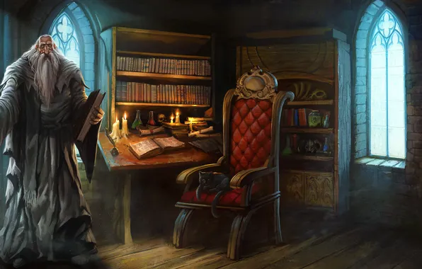 Cat, room, books, chair, art, the old man, staff, the sorcerer