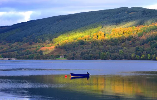 Picture autumn, forest, the sky, light, mountains, lake, boat