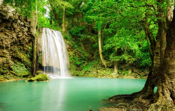 Forest, river, waterfall, forest, river, landscape, jungle, beautiful