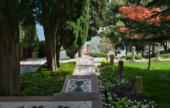 Flowers, Nature, Grass, Trees, Park, Plants, Nature, Grass