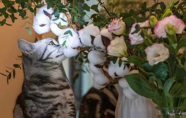 Cat, cat, leaves, flowers, bouquet, profile, grey, white