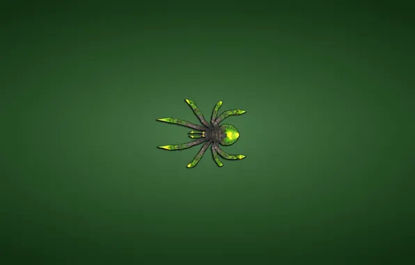 Green, minimalism, spider, spider