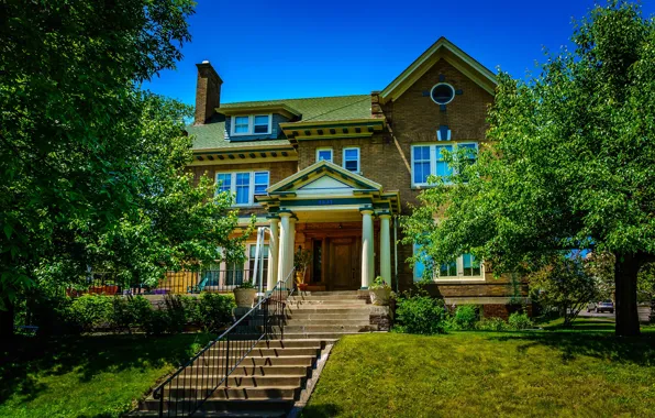 Greens, the sky, the sun, trees, design, lawn, home, ladder