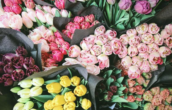 Picture flowers, yellow, bouquet, spring, tulips, pink, buds, a lot