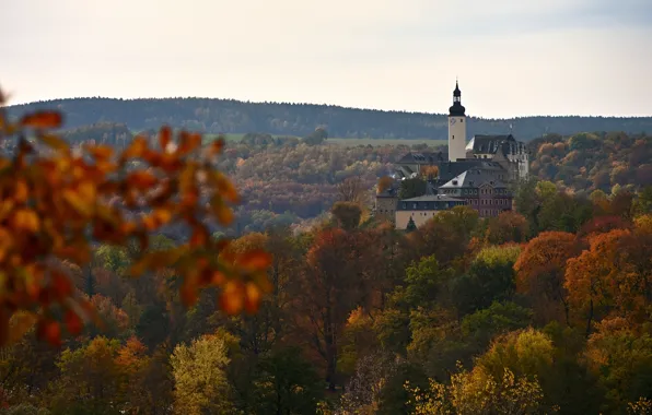 Autumn, forest, the sky, trees, branches, castle, hills, foliage