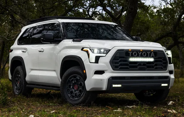 Toyota, Sequoia, TRD Pro, 2023