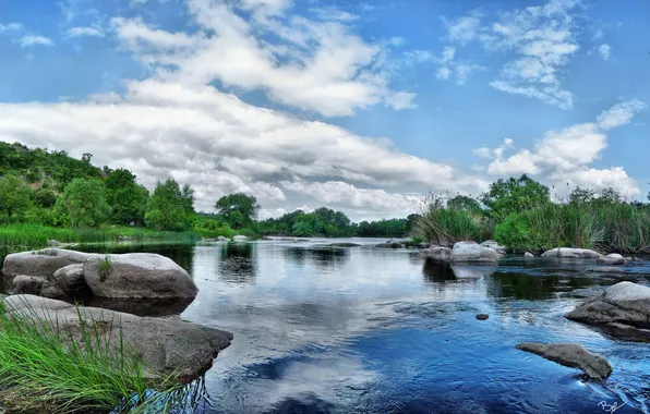 Picture forest, water, reflection, river, stones, vegetation