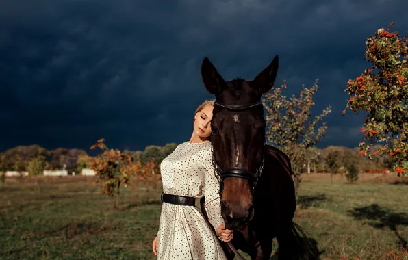 Field, the sky, girl, clouds, pose, horse, horse, dress