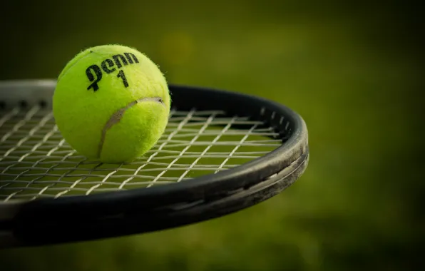 Picture sport, the ball, racket