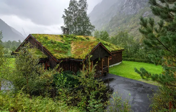 Road, greens, grass, trees, mountains, clouds, rain, overcast